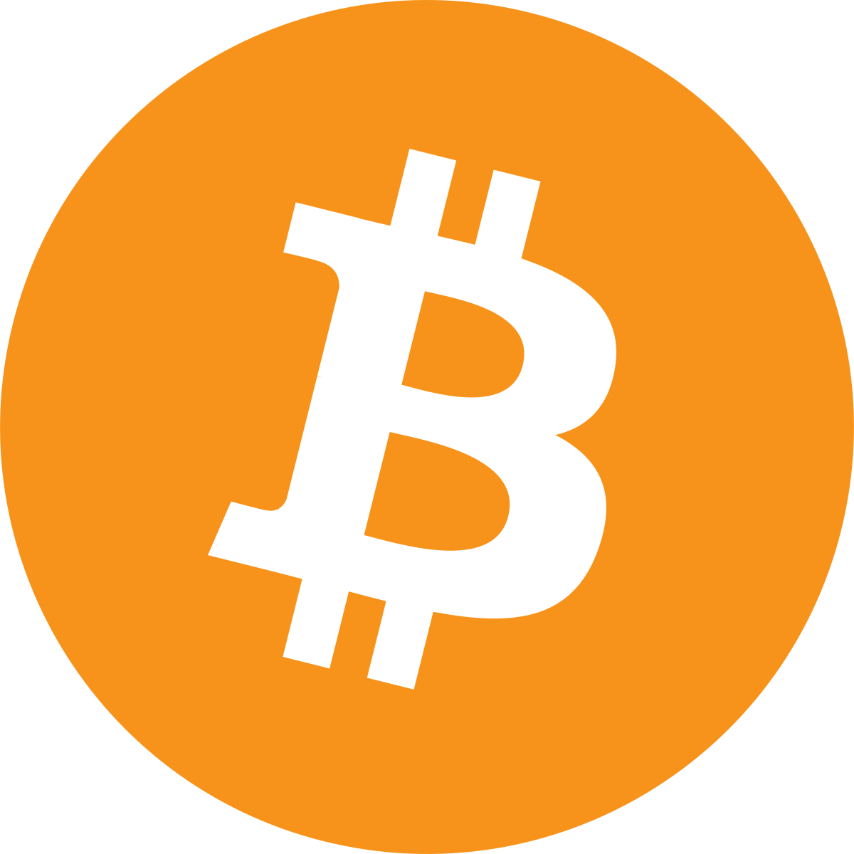 Bitcoin Sherpa logo